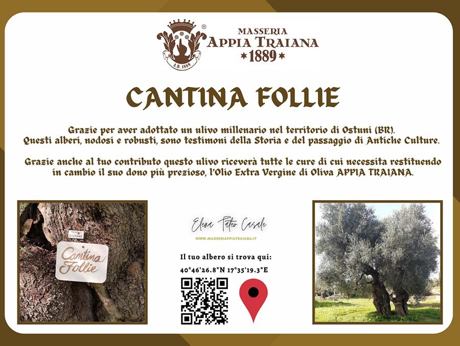 Adotta un Ulivo